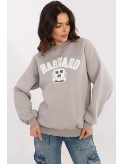 Mikina  model 206376 Factory Price