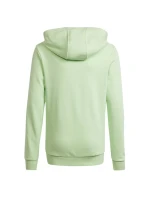 Mikina adidas Big Logo Hoodie Jr IS2591 Mikina adidas Big Logo Hoodie Jr IS2591