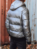 Pánská zimní bunda s kapucí, stříbrná Dstreet TX3948