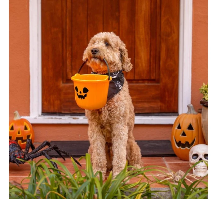 HALLOWEENSKÝ KBELÍK NA SLADKOSTI 17 CM