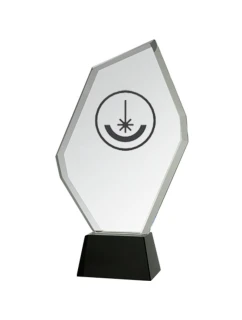 Trofeum szklane grawerowane z etui