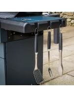 model 21810055 model 21810055