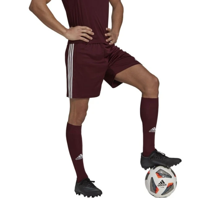 Pánské kraťasy Squadra 21 Short M GN8083 - Adidas