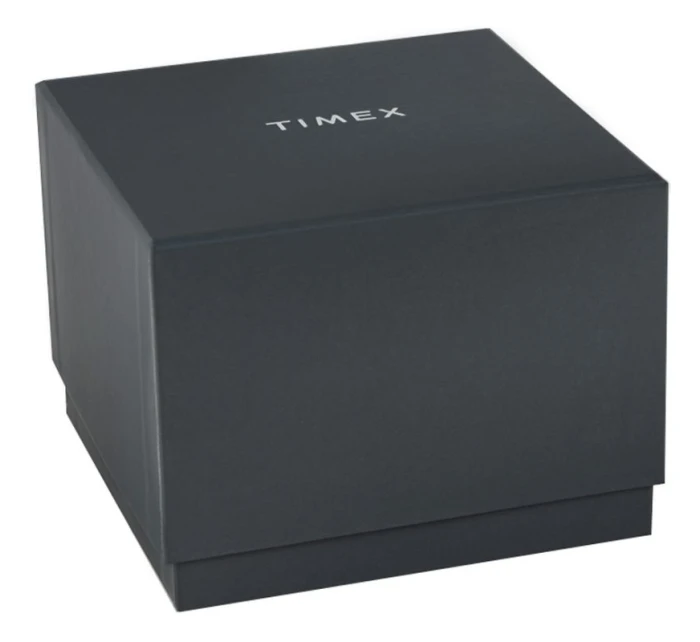 Pánské hodinky TIMEX Q Reissue TW2U61700 + BOX