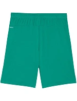 Pánské šortky Puma Team Goal zelené 705752 05