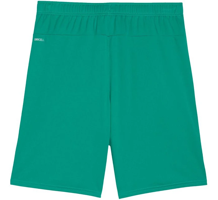 Pánské šortky Puma Team Goal zelené 705752 05