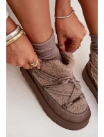 Dámské Sněhule Na Platformě S Kožíškem  Hnědé model 21705918 - Big Star Shoes