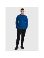 Pánská mikina bez kapuce model 21436681 - 4F Pánská mikina bez kapuce model 21436681 - 4F