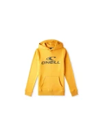 Mikina O'Neill Logo Hoodie Jr model 20080454 - ONeill
