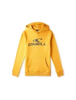 Mikina O'Neill Logo Hoodie Jr 92800615006