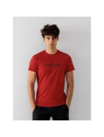 Tričko 4F M 4FSS23TTSHM539-62S pánské