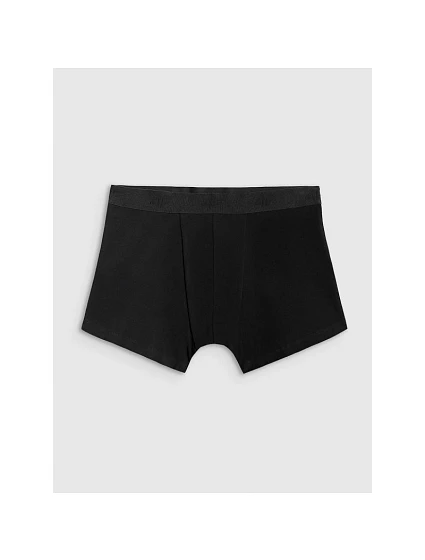 Pánské boxerky (3 balení) model 22132345 - 4F