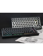 model 21491727 75 Herní USB klávesnice US English Black - Ducky