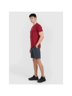 Spodenki  męskie model 21460720 - 4F