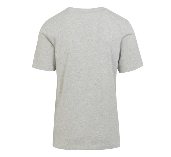 Pánské tričko Cline VIII RMT284-C9J šedé - Regatta