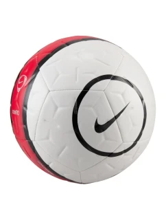 Míč Nike Academy model 21303582