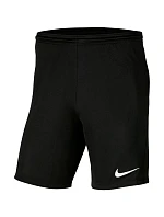 Pánská obuv Dry Park III NB M BV6855 010 - Nike