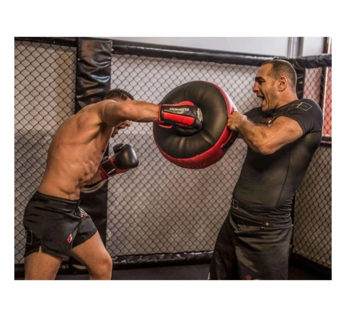 tréninkový | 45 x 20 cm model 21438067 - DBX Bushido