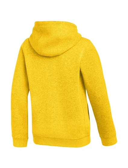 Dětská mikina Park 26 Fleece Hoodie yellow model 21950267 719 - NIKE