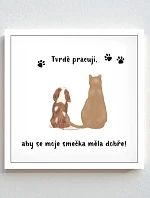 Personalizovaný magický fotoobraz v rámu - čtverec 20x20 - ilustrace mazlíčků