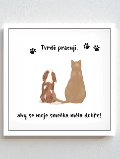 Personalizovaný magický fotoobraz v rámu - čtverec 20x20 - ilustrace mazlíčků