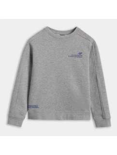 Mikina 4F JUNIOR 4FJRAW25TSWSM2413-25M