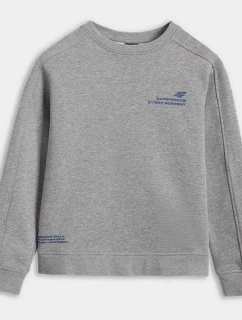 Mikina 4F JUNIOR 4FJRAW25TSWSM2413-25M