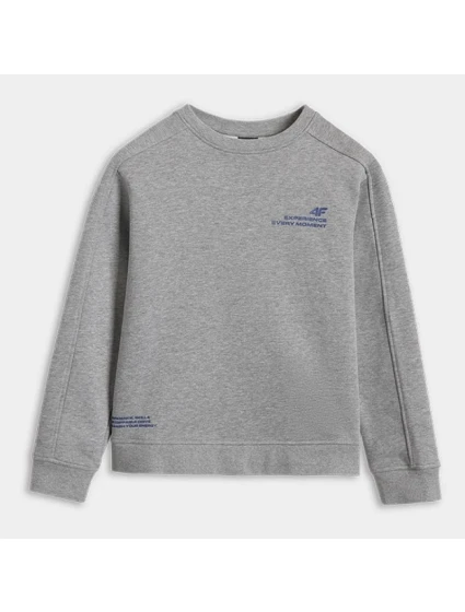 Mikina 4F JUNIOR 4FJRAW25TSWSM2413-25M