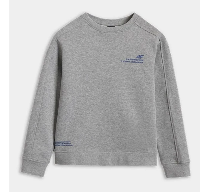 Mikina 4F JUNIOR 4FJRAW25TSWSM2413-25M