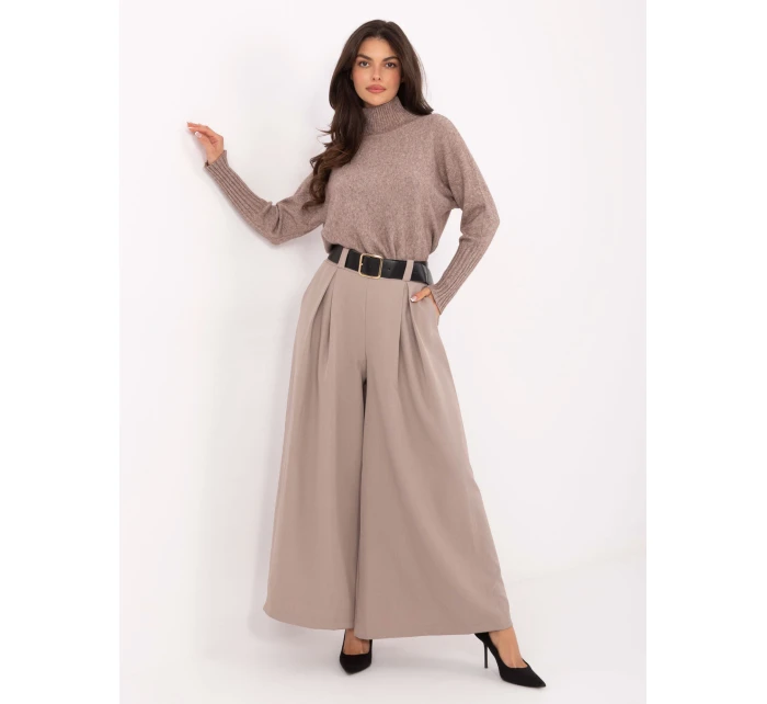 Spodnie IT SP model 21471707 ciemny bezowy - FPrice