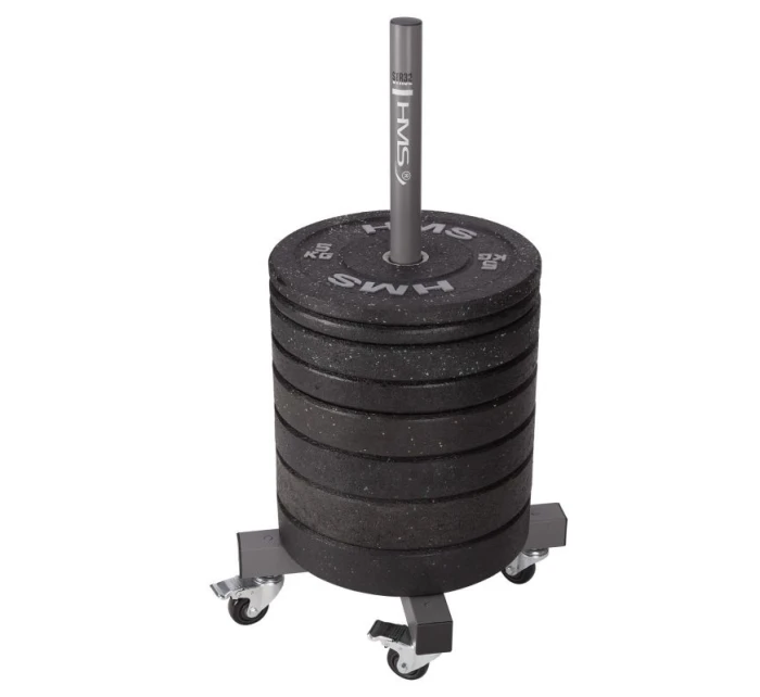 STR32 KOMERČNÍ NOSIČ HMS