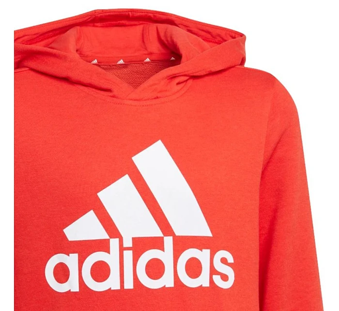 Dětská mikina Essentials Big Logo Hoodie Jr GN4037 - Adidas