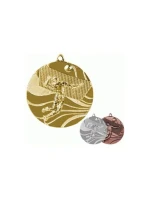 medal model 21829759