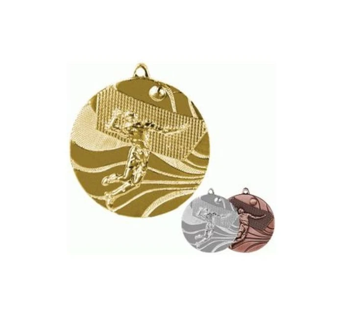 medal model 21829759