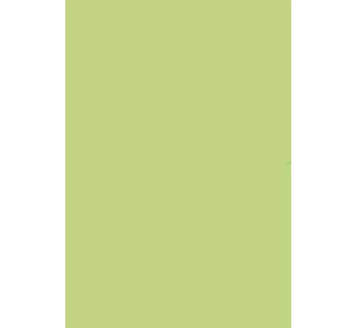 Dámské ponožky 073 - Steven Dámské ponožky 073 - Steven