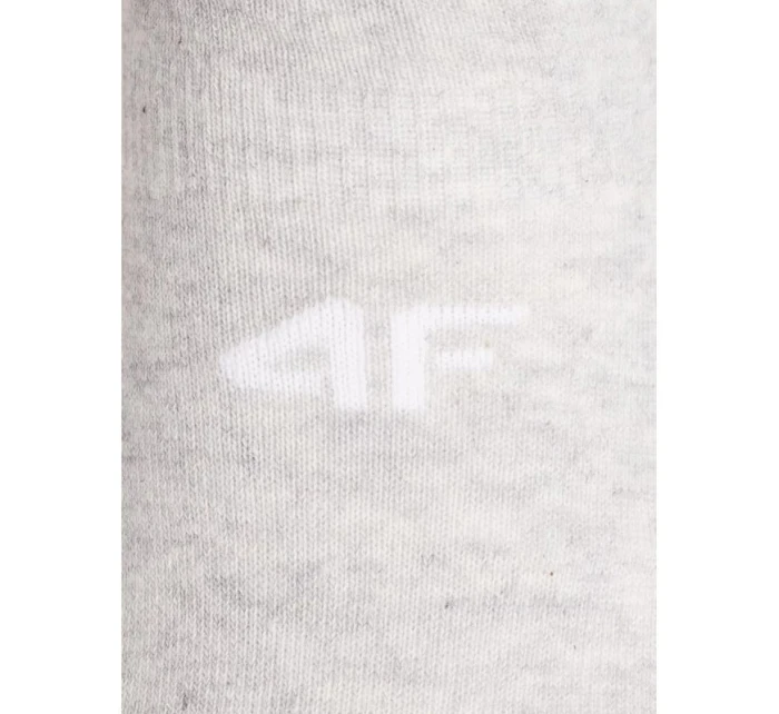 Pánské ponožky  model 21479854 - 4F