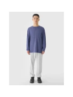 Pánské tričko oversize s potiskem a dlouhým rukávem 4F 4FRAW24TLONM507-32S