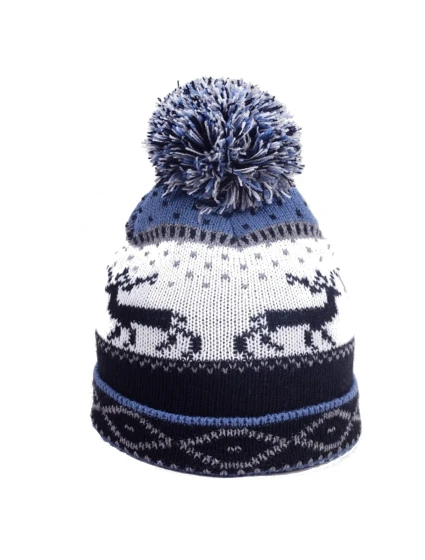 Chlapecká čepice YO! model 18918551 Boy - Yoclub