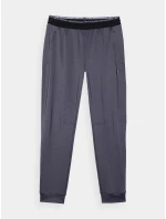 Pánské sportovní rychleschnoucí kalhoty 4F - šedé