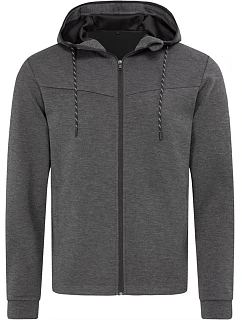 Jacket Men Pánská bunda s kapucí  heather model 22477611 - Stedman