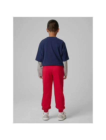 Chlapecké tepláky joggers model 22135766 dětské - 4F