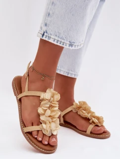 Sandály  model 225116 Step in style