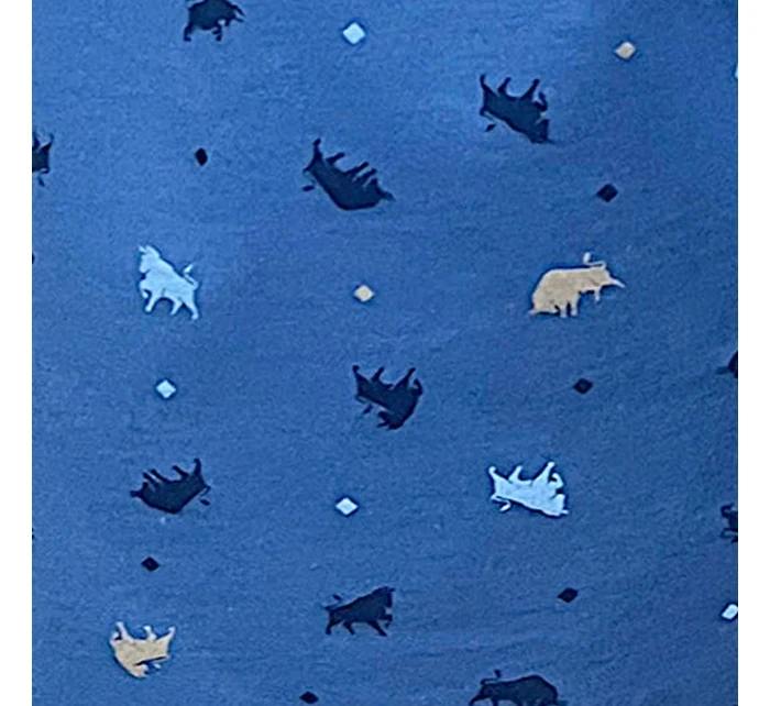 Pánské trenýrky model 21785305 Comfort plus - Cornette Pánské trenýrky model 21785305 Comfort plus - Cornette