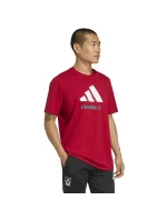 Adidas Liverpool FC Sezónní tričko DNA Graphic Tee 2 JY3466