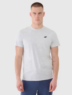 Tričko M model 20996142 27M pánské - 4F