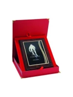 Plastový diplom s vyrytou kovovou destičkou + pouzdro