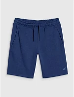 Pánské šortky Regular fit SHOM543-031S modré - 4F