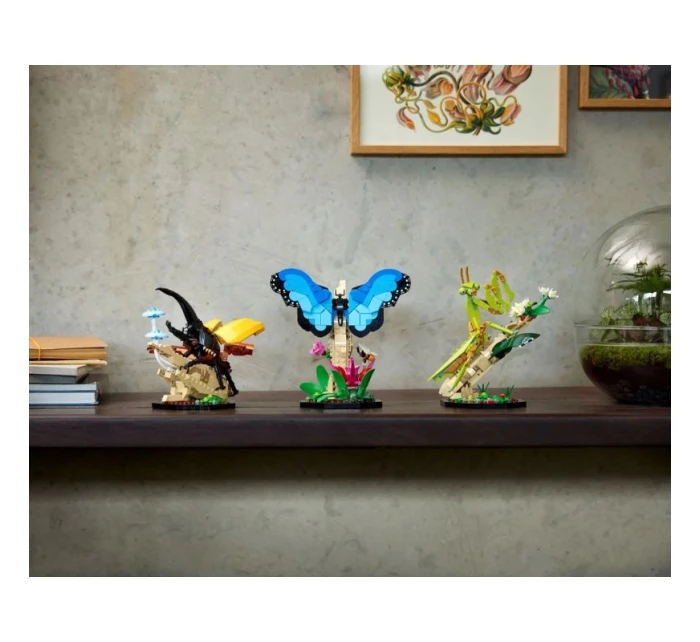 LEGO Ideas 21342 Sbírka hmyzu