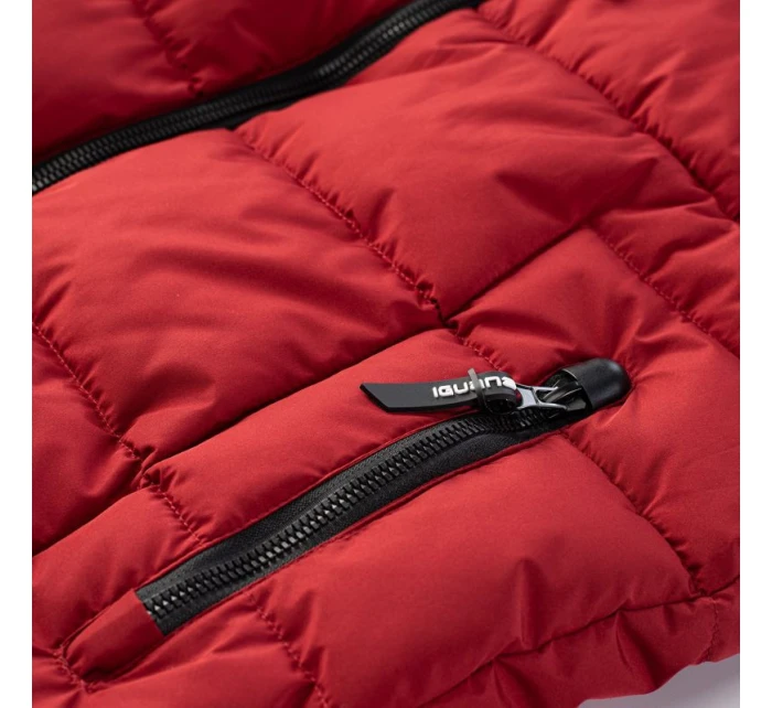 Pánský prošívaný zimní kabát model 21417557 - Iguana