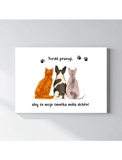 Personalizovaný magický fotoobraz v rámu - 50x70 ilustrace zvířátka